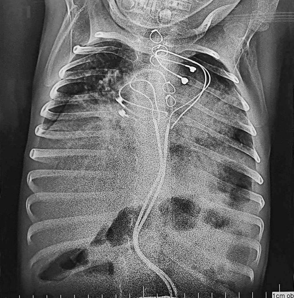 3_21022025.jpg 3_21022025.jpg