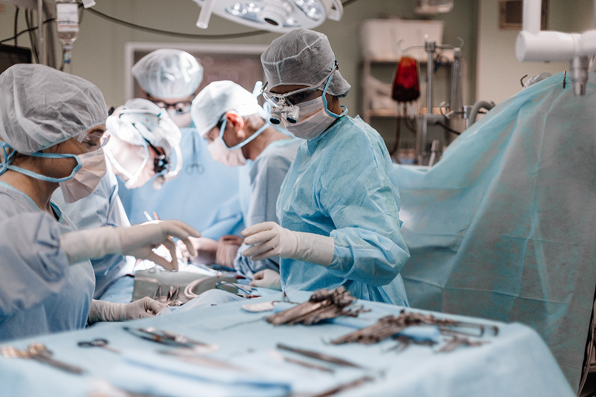 7T9A7342.jpg 7T9A7342.jpg