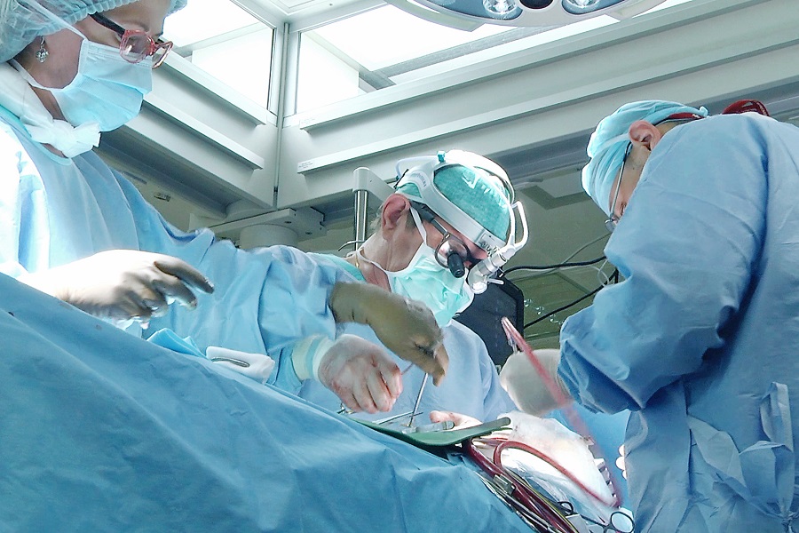 _Image6.jpg _Image6.jpg