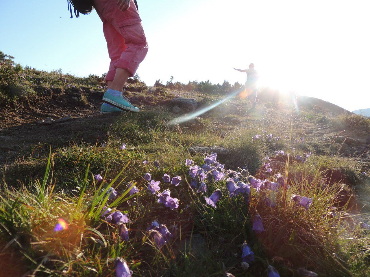 photo5255879844259014888.jpg photo5255879844259014888.jpg